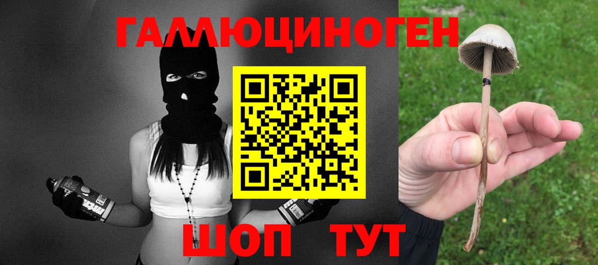 Псилоцибиновые грибы GOLDEN TEACHER  Галлюциногенные грибы GOLDEN TEACHER  Вход с VPN  Богородицк 