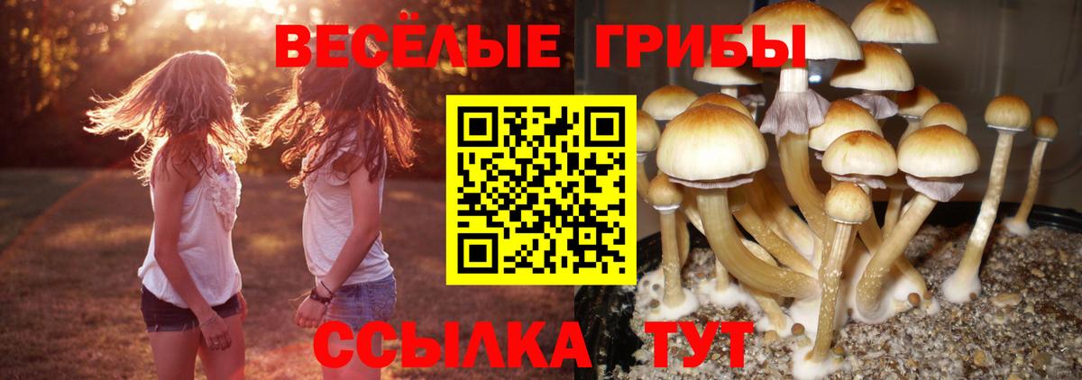 Псилоцибиновые грибы ЛСД Богородицк